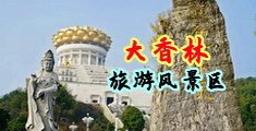 操黑毛大骚逼免费视频中国浙江-绍兴大香林旅游风景区
